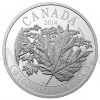 2014 - Kanada 100 $ Majestic Maple Leaf - proof (Obr. 0)