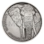 esko a Slovensko 2020 - Niue 1 NZD Stbrn mince Zvec rekordmani - Slon africk - b.k.
