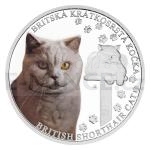 Animals and Plants 2024 - Niue 1 NZD Silver Coin Cat Breeds - British Shorthair - Proof