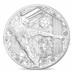 Tmata 2016 - Francie 50  Silver 5 Oz UEFA Euro 2016 - proof