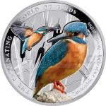 Fascinujc svt ptk 2014 - Niue 1 NZD Ledek n (Kingfisher) - proof