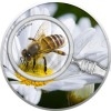 2020 - Kamerun 500 CFA Honey Bee / Vela medonosn - proof (Obr. 0)