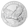 2023 - Niue 80 NZD Stbrn kilogramov investin mince Orel 2023 - b.k. (Obr. 2)