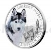 2023 - Niue 1 NZD Silver Coin Dog Breeds - Siberian Husky - Proof (Obr. 0)