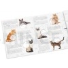Collector's Book Cat Breeds (Ag) (Obr. 2)