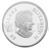2011 - Kanada 20 $ - Topaz Snowflake / Vloka - proof (Obr. 0)