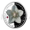 2018 - Niue 1 NZD Silver Coin Parnassia Palustris - Proof (Obr. 2)