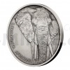 2020 - Niue 1 NZD Silver Coin Animal Champions - Elephant - Standard (Obr. 1)