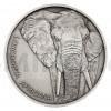 2020 - Niue 1 NZD Silver Coin Animal Champions - Elephant - Standard (Obr. 7)