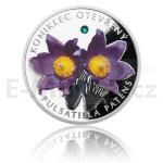 Tmata 2014 - Niue 1 NZD Stbrn mince Ohroen proda - Koniklec oteven - proof