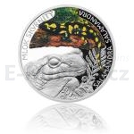 Animals and Plants 2015 - Niue 1 NZD Silver Coin Fire Salamander - Proof