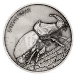 2020 - Niue 1 NZD Silver Coin Animal Champions - Rhinoceros Beetle - Standard