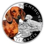 Fr Kinder 2021 - Niue 1 NZD Silver Coin Dog Breeds - Dachshund - Proof