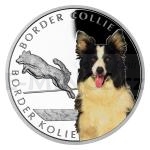 Silver 2022 - Niue 1 NZD Silver Coin Dog Breeds - Border Collie - Proof