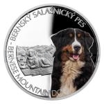 Tiere und Pflanzen 2022 - Niue 1 NZD Silver Coin Dog Breeds - Bernese Mountain Dog - Proof