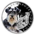 Silver 2022 - Niue 1 NZD Silver Coin Dog Breeds - Schnauzer - Proof