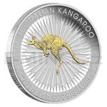 2016 - Austrlie 1 AUD Klokan Pozlacen / Australian Kangaroo 1oz Silver Gilded Edition - BU