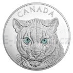 World Coins 2015 - Canada 250 $ In the Eyes of the Cougar - Proof