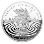 Kanada 2015 - Kanada 20 $ Silber Maple Leaf Spiegelung - PP