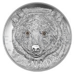 Silbermnzen 2016 - Kanada 250 $ In den Augen des Geisterbrs / In the Eyes of the Spirit Bear - PP