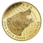Gold 1 oz (Unze) 2016 - Kanada 200 $ Brllender Grizzlybr / Roaring Grizzly Bear - PP