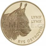 2 a 5 Euromince 2022 - Slovensko 5  Rys ostrovid - b.k.