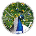Vnoce 2019 - Niue 2 $ Majesttn Modr Pv / Majestic Blue Peafowl - proof