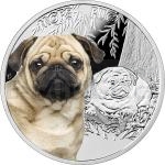 World Coins 2015 - Niue 1 NZD Pug - Proof