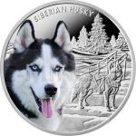 Bester Freund des Menschen - Hund 2016 - Niue 1 NZD Siberian Husky - proof
