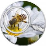 Weltmnzen 2020 - Kamerun 500 CFA Honey Bee - proof