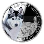 Fr Kinder 2023 - Niue 1 NZD Silver Coin Dog Breeds - Siberian Husky - Proof