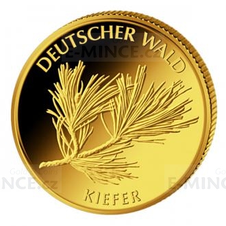 2013 - Deutschland 20  - Deutscher Wald - Kiefer - St.
Klicken Sie zur Detailabbildung.