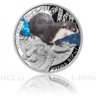 2013 - Niue 1 NZD Silver Coin European otter - proof
Click to view the picture detail.