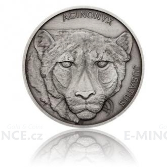 2019 - Niue 1 NZD Silver Coin Animal Champions - Cheetah - Stand
Click to view the picture detail.