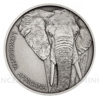 2020 - Niue 1 NZD Silver Coin Animal Champions - Elephant - Standart
Click to view the picture detail.