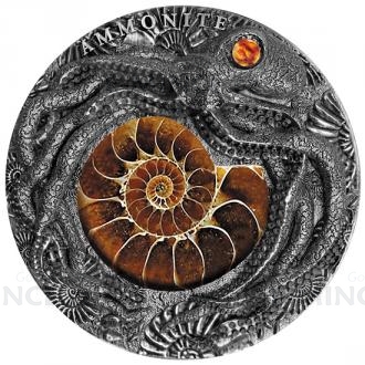2019 - Niue 5 $ Ammonite with Amber - Antique Finish
Click to view the picture detail.
