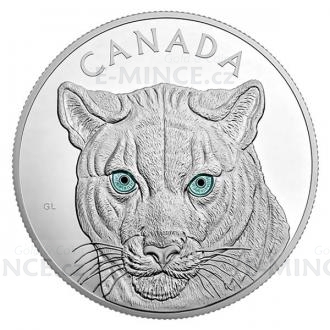 2015 - Kanada 250 $ In den Augen des Puma / In the Eyes of the Cougar - PP
Klicken Sie zur Detailabbildung.