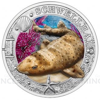2023 - Austria 3 EUR Schwellhai / Swell Shark - UNC
Click to view the picture detail.