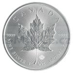 Stbro 1 oz (unce) 2020 - Kanada 5 $ Silver Maple Leaf 1 oz