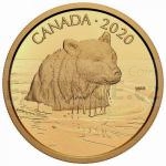 Kanada 2020 - Kanada 350 $ Medvd grizzly / The Grizzly Bear - proof