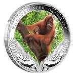 Fauna a Flra 2011 - Tuvalu 1 $ - Wildlife in Need - Orangutan - proof