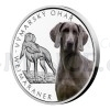 2022 - Niue 1 NZD Silver Coin Dog Breeds - Weimaraner - Proof (Obr. 1)