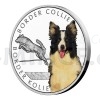 2022 - Niue 1 NZD Silver Coin Dog Breeds - Border Collie - Proof (Obr. 1)