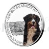 2022 - Niue 1 NZD Silver Coin Dog Breeds - Bernese Mountain Dog - Proof (Obr. 1)