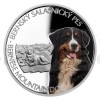 2022 - Niue 1 NZD Silver Coin Dog Breeds - Bernese Mountain Dog - Proof (Obr. 7)