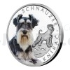 2022 - Niue 1 NZD Silver Coin Dog Breeds - Schnauzer - Proof (Obr. 1)