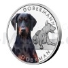 2023 - Niue 1 NZD Silver Coin Dog Breeds - Doberman - Proof (Obr. 1)