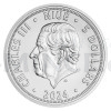 2024 - Niue 5 NZD Silver 2 oz Bullion Coin Czech Lion - UNC (Obr. 1)