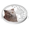 2024 - Niue 1 NZD Silver Coin Cat Breeds - British Shorthair - Proof (Obr. 4)