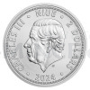 Sada dvou stbrnch uncovch minc esk lev a Orel 2024 - b.k. (Obr. 2)